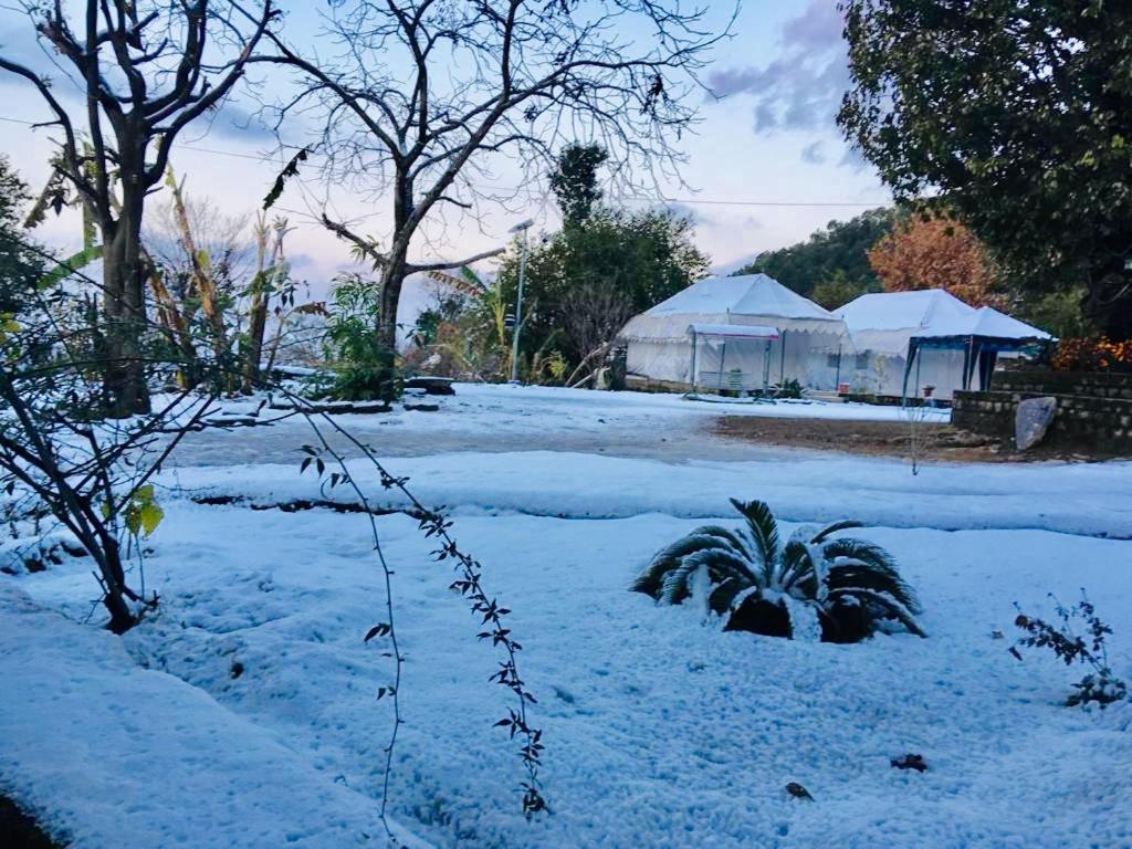 Kangar Tatva Bir Tents And Hotel المظهر الخارجي الصورة